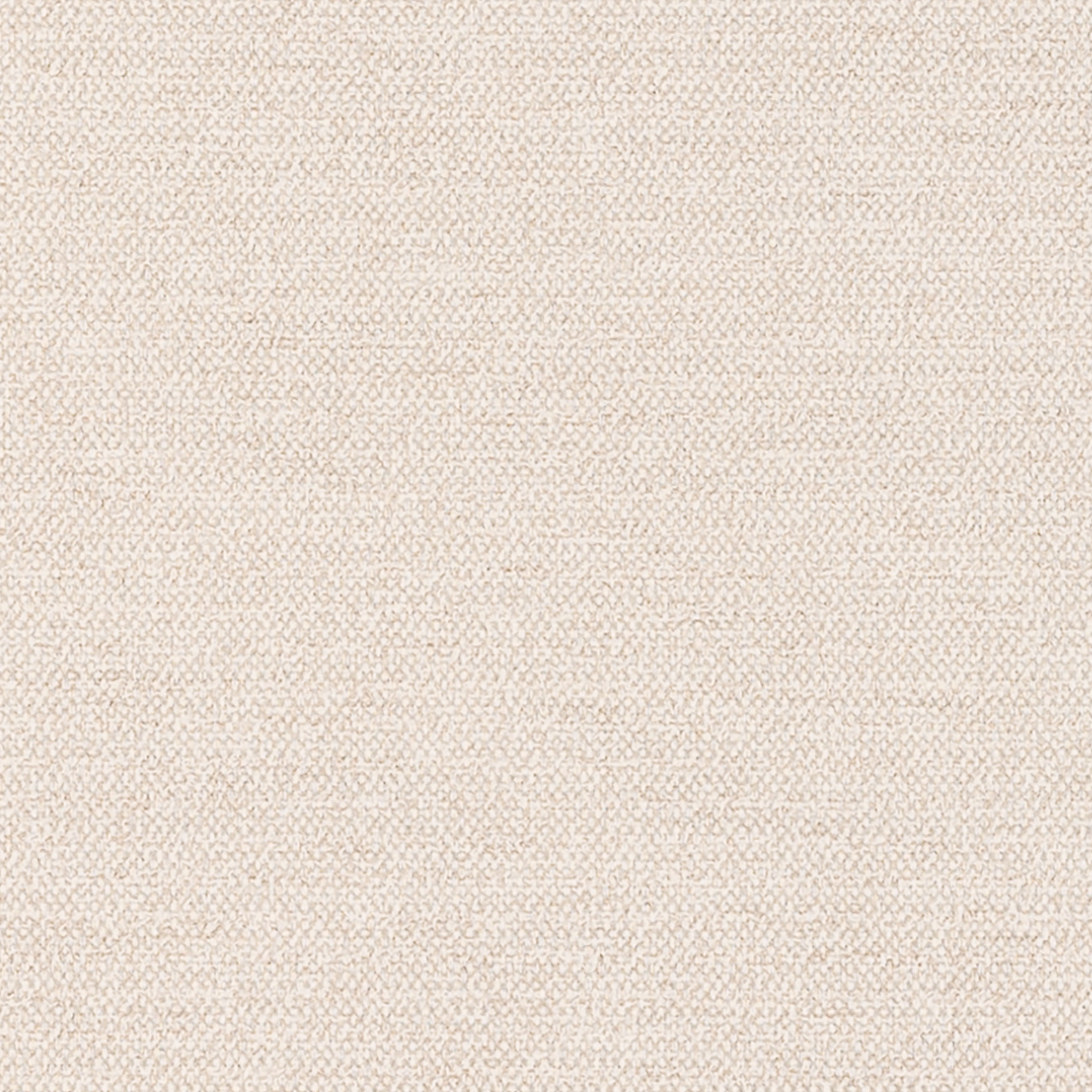 Bibliotheque Champagne Crisp